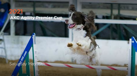 showtime agility|Event Diary .